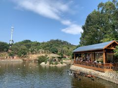 -泉州海丝野生动物世界