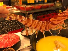 -鲜入围煮花胶鸡海鲜火锅