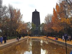 -玲珑塔公园