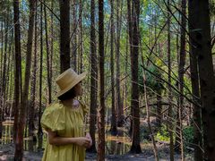 -桤木河湿地公园