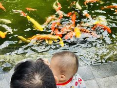 -春满园·早茶·粤菜·宴会(前海店)