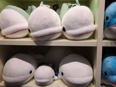 -上海海昌海洋公园