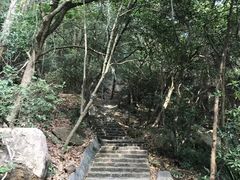 -东莞市大岭山森林公园