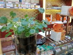 -北京同仁堂中医馆(五羊店)