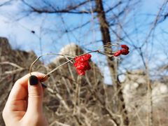 -崂山巨峰游览区