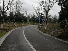 -桐乡凤凰湖