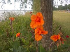 iphone_upload_pic-漕湖湿地公园