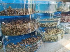 -蓝珊甄选海鲜自助·火锅大排档(近阿那亚店)