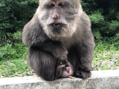 -西岭雪山大飞水景区