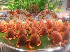 -五月罗马海鲜自助餐厅(陆家嘴店)