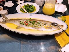 清蒸小白鱼-香雪海饭店中餐厅(人民桥店)