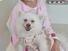 -怪兽屋·羊驼·猫咖·狗咖(俊华广场店)