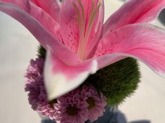 -芙蓉堂(武汉天地店)