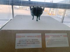 -合肥新桥国际机场-航站楼