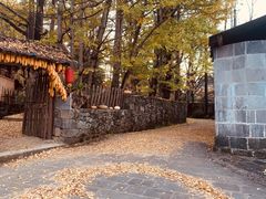 -腾冲国萍农家乐