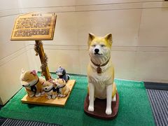 -大江户·温泉洗浴(浑南店)