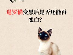 -申普宠物医院(总院)