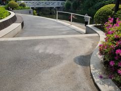 -兰溪青年公园