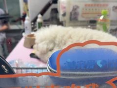 -达爱动物医院·犬猫分区·CT·复杂眼科(远洋山水分院)