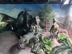 -国家自然博物馆