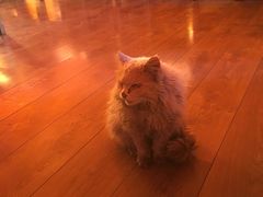 景观位-玛吉阿米·餐吧