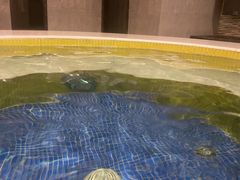 -碧中海汤泉汗蒸酒店