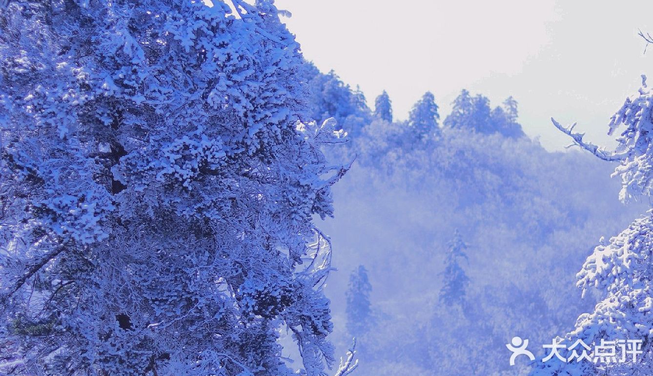 昨天的西岭雪山