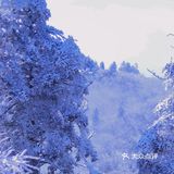 昨天的西岭雪山