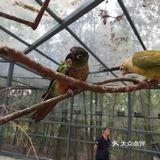 成都最萌态的儿童乐园[亲亲]