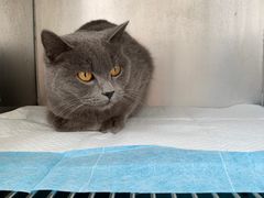 -狗舍宠物医院(四季商业广场店)