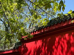 -峨眉山报国寺