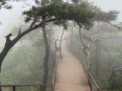 -沂蒙山旅游区云蒙景区(蒙山国家森林公园)