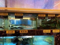 水产区-盛记顺德高佬猪杂粥