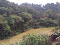 iphone_upload_pic-区海鸡场饭店(石壁店)
