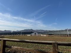 -君乐宝优致牧场