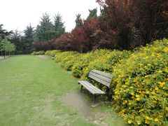 -上海市龙华烈士陵园