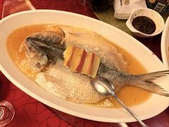 -金美华轩(东方路齐鲁店)