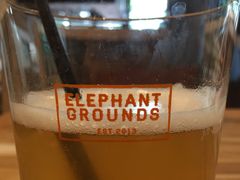 -Elephant Grounds(STARSTREET)