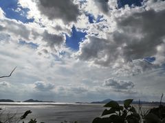 -随园餐厅自助早餐(祥生大酒店)