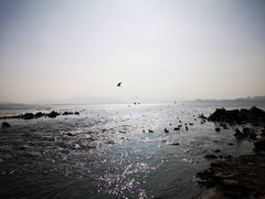 -深圳湾公园(南山区)