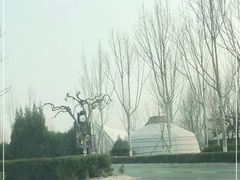 -九十九顶毡房(阜石路店)