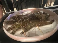 -滋粥楼·顺德菜(番禺广场总店)