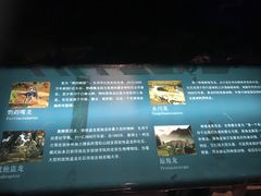 -世界恐龙谷景区