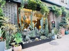 -松树干拌面店