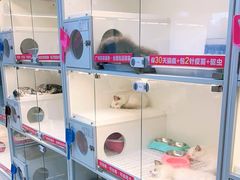 -lincat·猫舍(广州店)