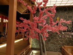 -蓝鲸湾汤泉(包河店)