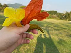-梧桐山风景名胜区