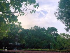 -敬亭山风景名胜区