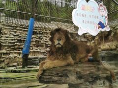 -贵州森林野生动物园