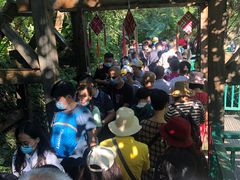 -西双版纳原始森林公园